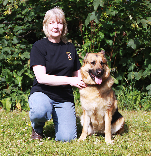 Yorkshire German Shepherd Dog Training The Team